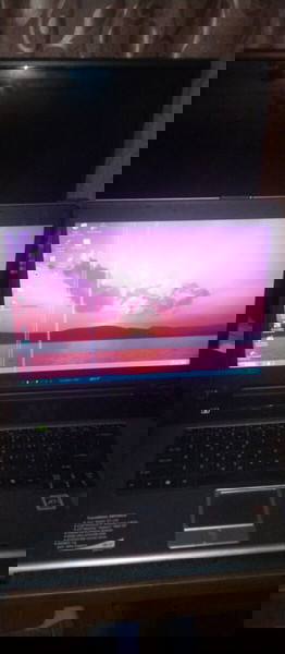 acer