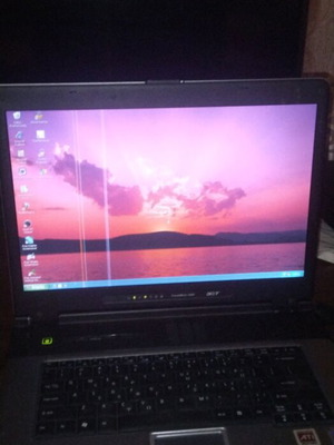acer