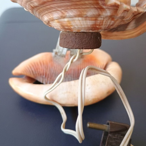 Handmade shell table lamp used
