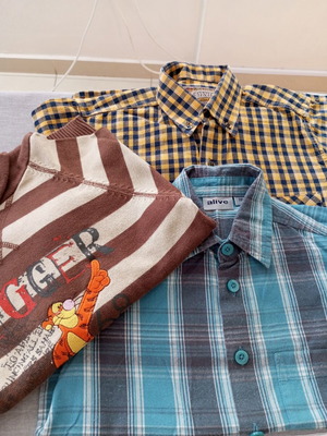 Set of 3 boys' clothes 4-6 years, Disney Tigger sweater, Alive and Silvio shirts