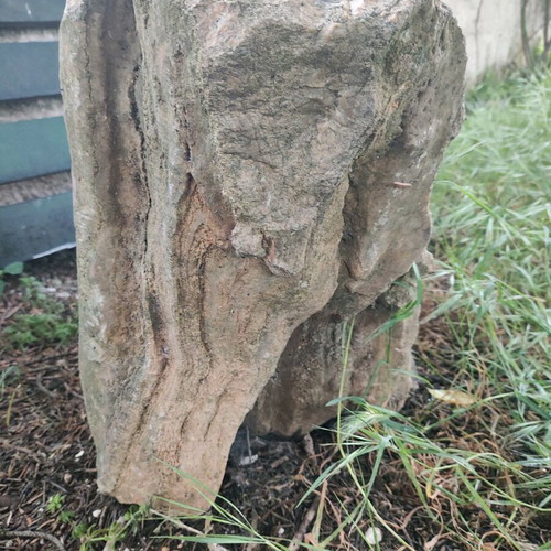 Fossilized tree trunk like new, large size