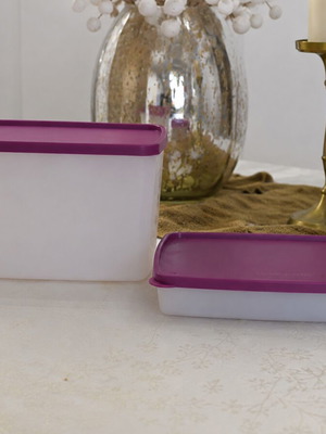 Tupperware freezer containers set 2.8L and 600ml new, collectible