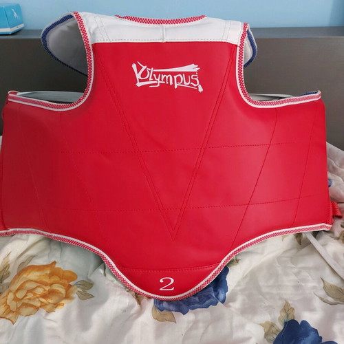Chest protector like new