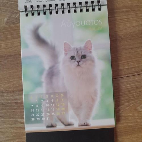 Calendar 2023 "Kittens" new, size 12x17cm