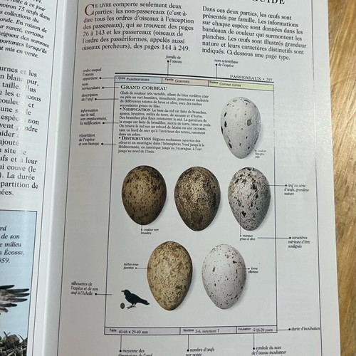 Les œufs d’oiseaux book like new, French bird egg guide