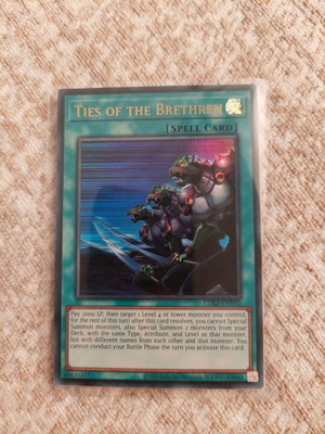 Yu-Gi-Oh Ties of the Brethren ultra rare like new