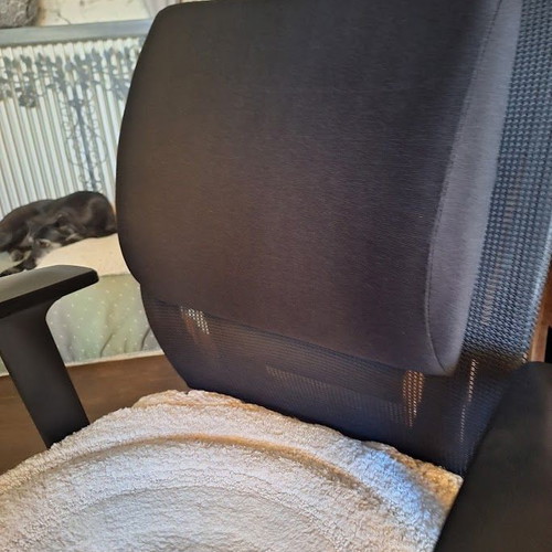 Memory Foam Lumbar Support Pillow like new for Office Chair or Car