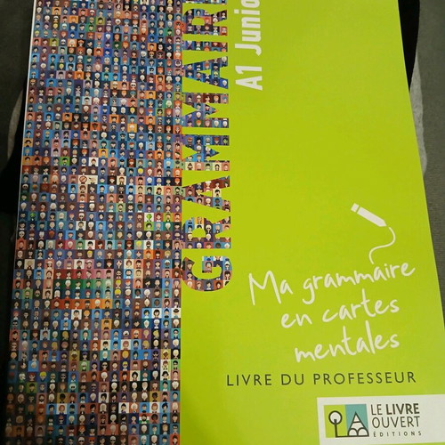 French Grammar Book A1 Junior teacher's edition like new