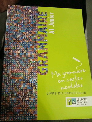 French Grammar Book A1 Junior teacher's edition like new