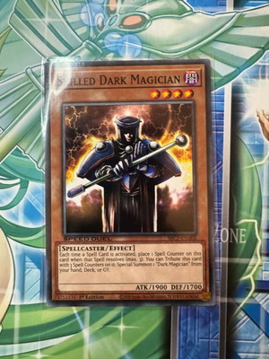 Skilled Dark Magician Yu-Gi-Oh! card like new