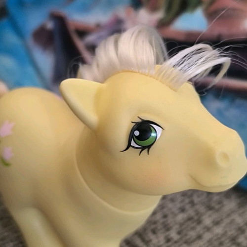 My Little Pony G1 '84 used with accessories