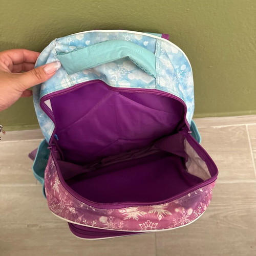 Frozen school backpack used
