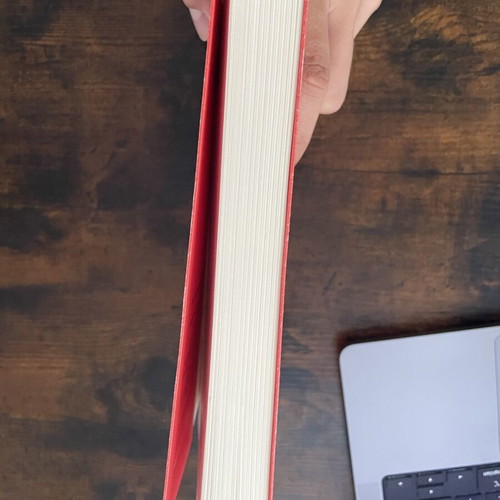 David Lodge The Therapy book, perfect condition