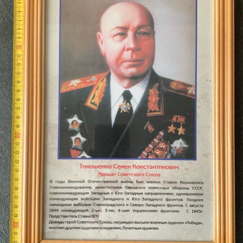 Timoshenko like new