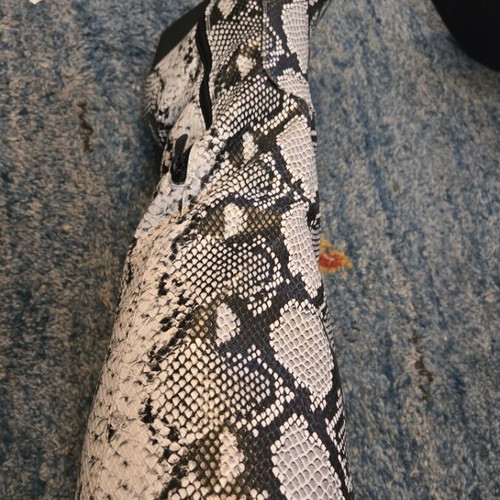 Stephan Shoes women's cowboy boots size 41 new animal print