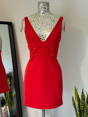 fitted lace wedding dress Zara Red Ditsy Floral Mini Dress main image 0