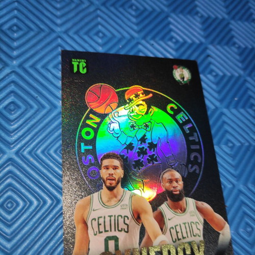 Panini Top Class NBA Synergy Basketball Cards set of 2, like new