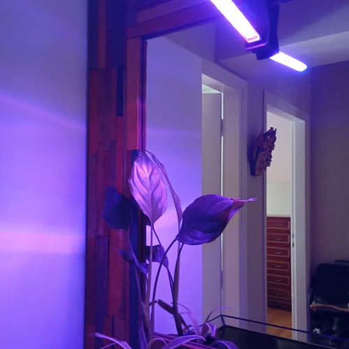 Phytolamp Full Spectrum LED Grow Light USB like new