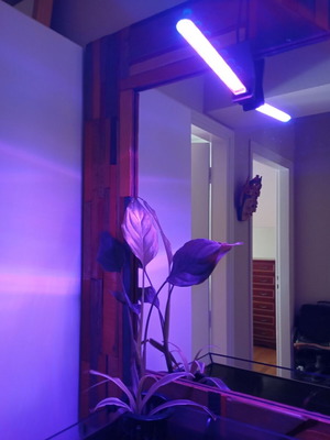 Phytolamp Full Spectrum LED Grow Light USB like new