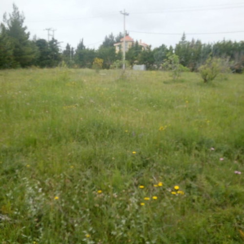 Agricultural land 3 acres in Varnavas, corner plot, residential area