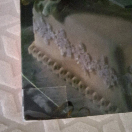 Cake Decoration book used