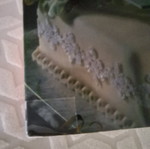 Cake Decoration book used