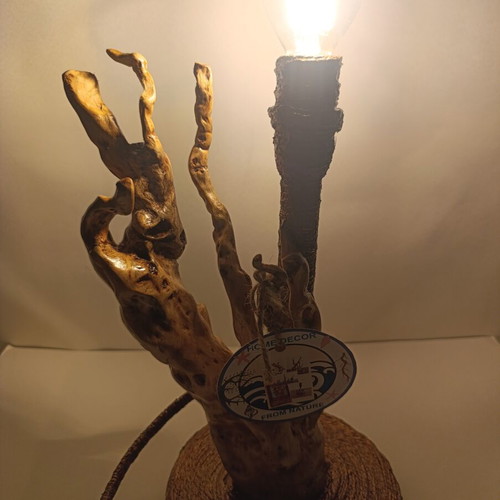 Table lamp from forest root new, handcrafted rustic design