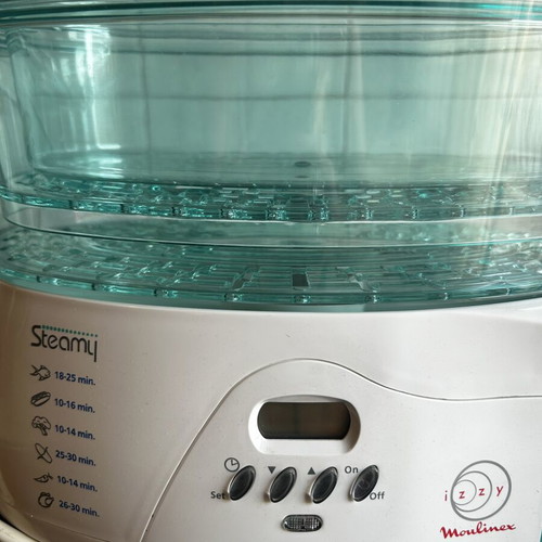 Steamy Izzy Moulinex steamer, new