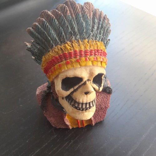 Skull in excellent condition, height 13cm