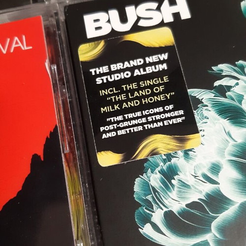 Bush CD discography like new, complete album pack with Gavin Rossdale solo