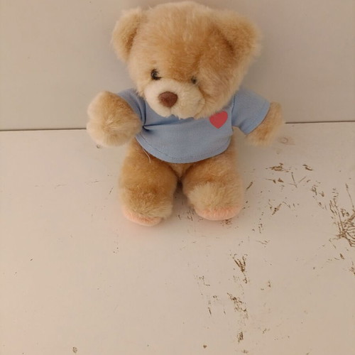 Stuffed teddy bear used