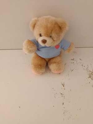 Stuffed teddy bear used