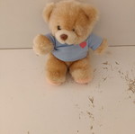 Stuffed teddy bear used