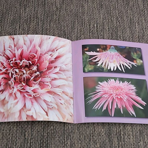 Photo albums like new, pack of 5 with flower, landscape, animal collections