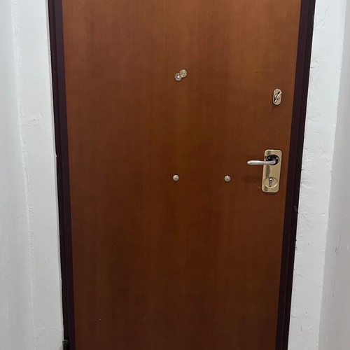 Security door like new
