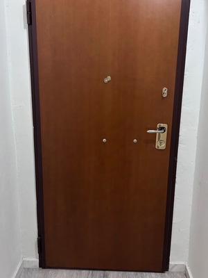 Security door like new