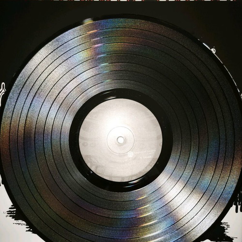 The Ducky Boyz Making It Worse vinyl LP like new