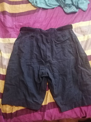 Beck bermuda shorts L, blue