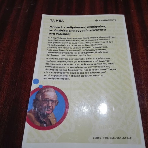 Chomsky book like new, illustrated guide