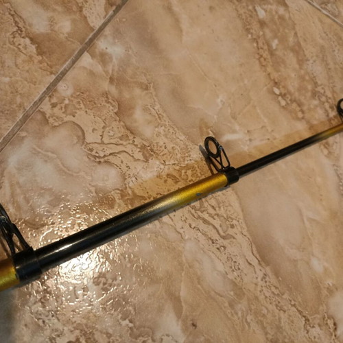 Zebco Praktica DX-60 Fishing Rod, 40-60
