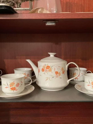 Vintage porcelain coffee and tea set with floral design like new