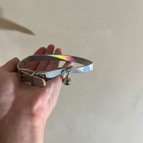 Cat collar with bell new