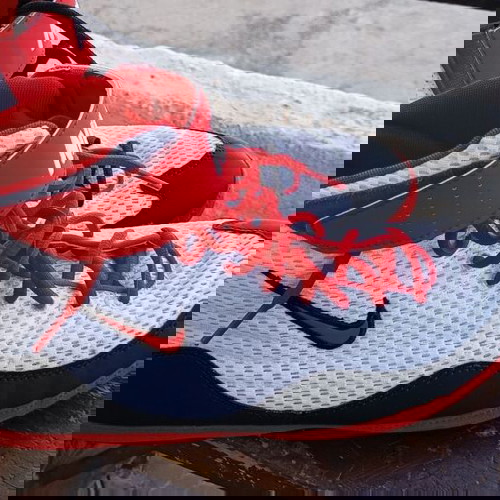 Nike inflict 3 παλαιστικά.