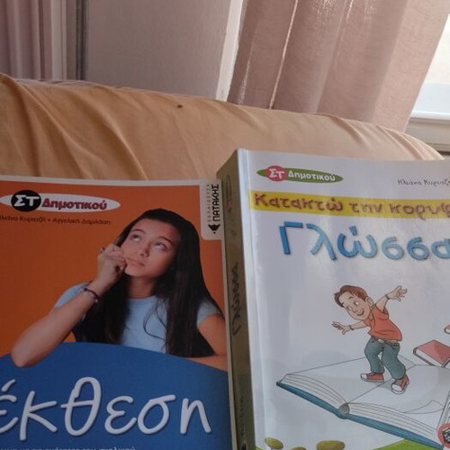 School aids for sixth grade used, language and essay books