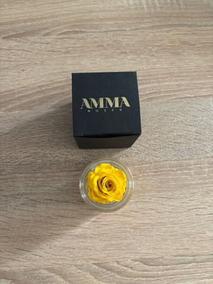 Amma Roses preserved yellow rose in glass container