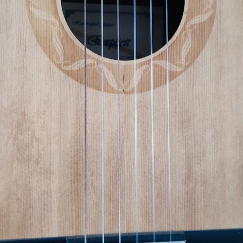 Classical guitar used, Explicit Model 901 3/4 with case