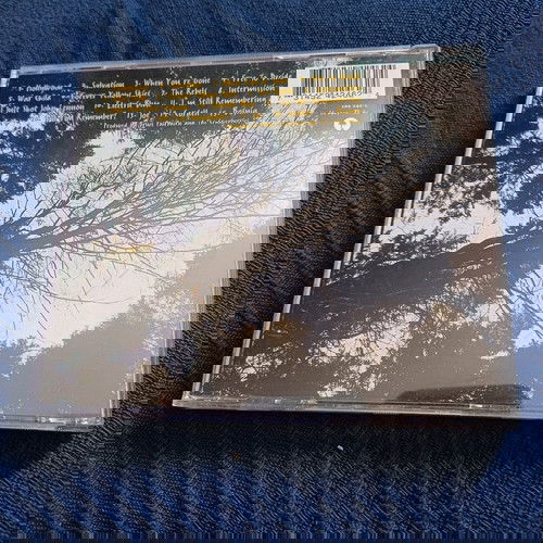 THE CRANBERRIES- TO THE FAITHFULL DEPARTED- CD ALBUM