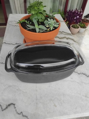 Glass Pyrex and cast iron pot used with surface wear