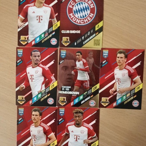Bayern Panini 2024 sticker pack like new