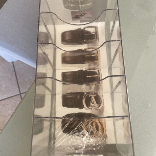 Organizer for belts with 5 compartments and removable dividers